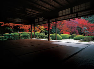 Autumn in Japan