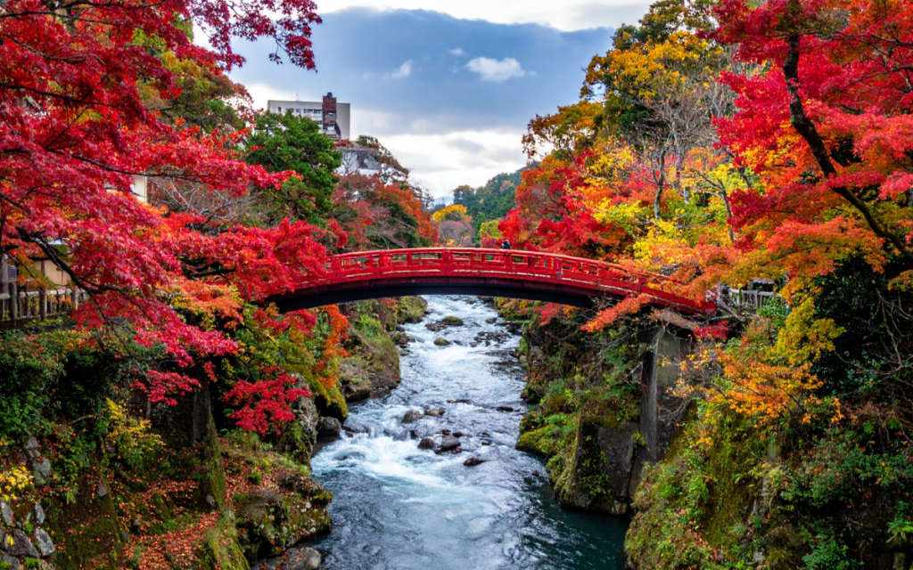 Autumn in Japan