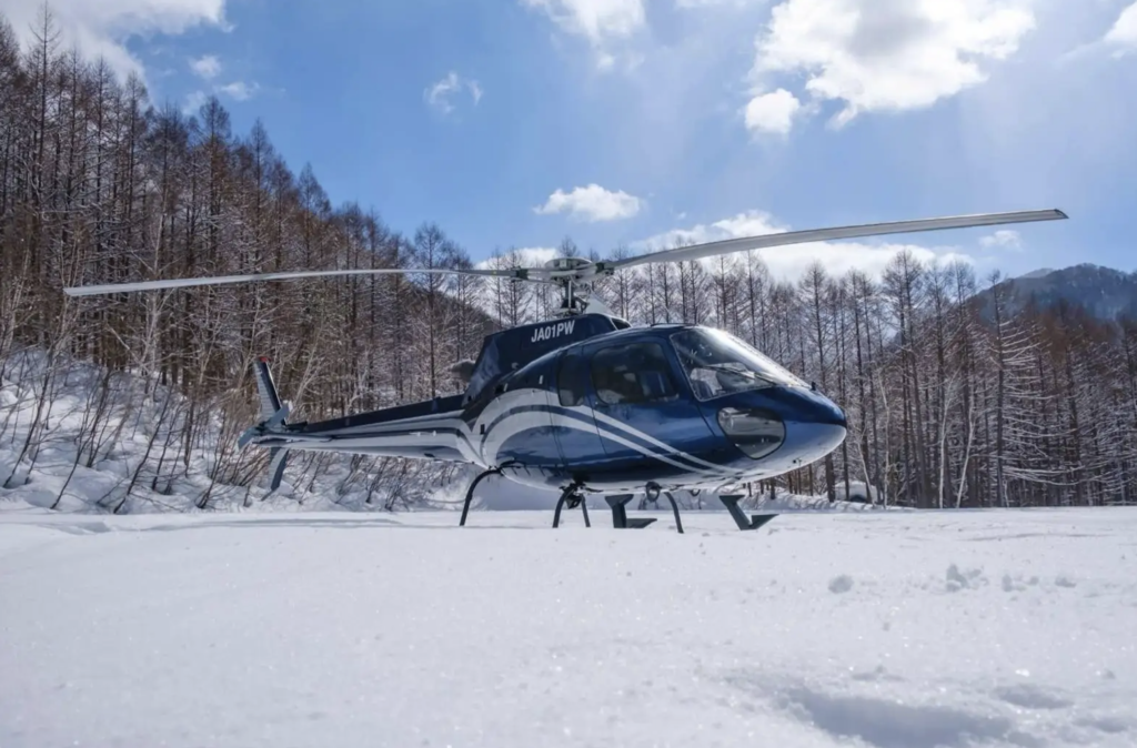 Winter in Japan