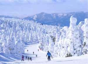 Winter in Japan