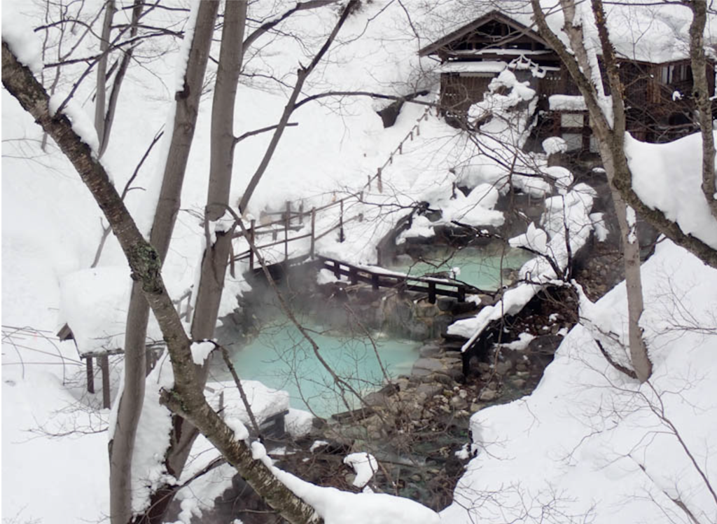 Winter in Japan