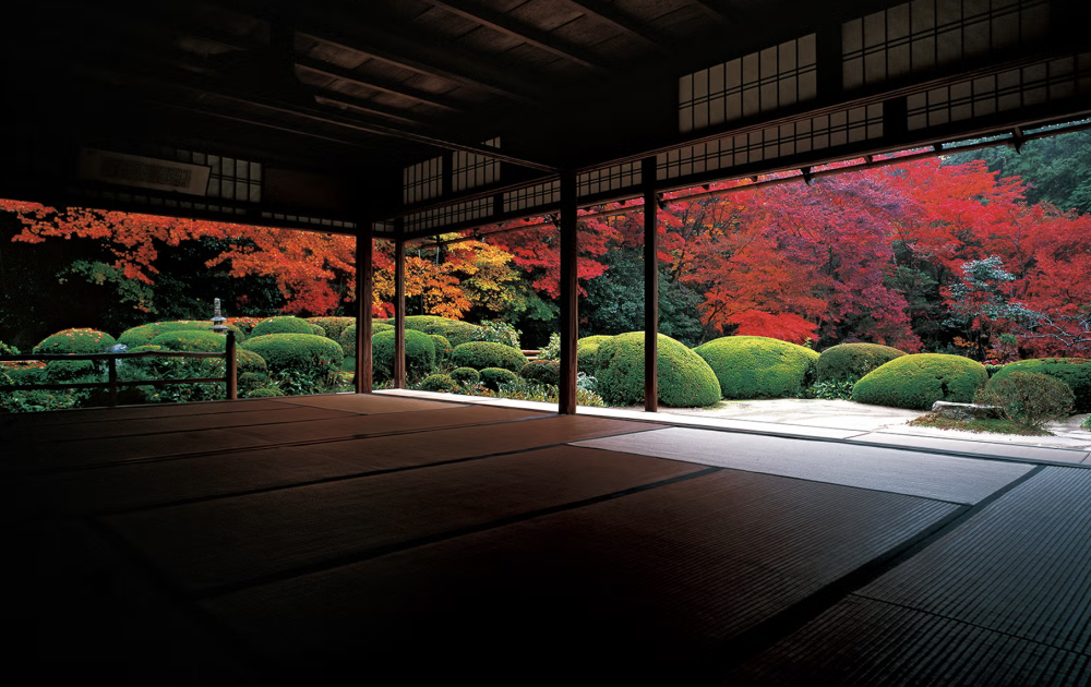 Autumn in Japan