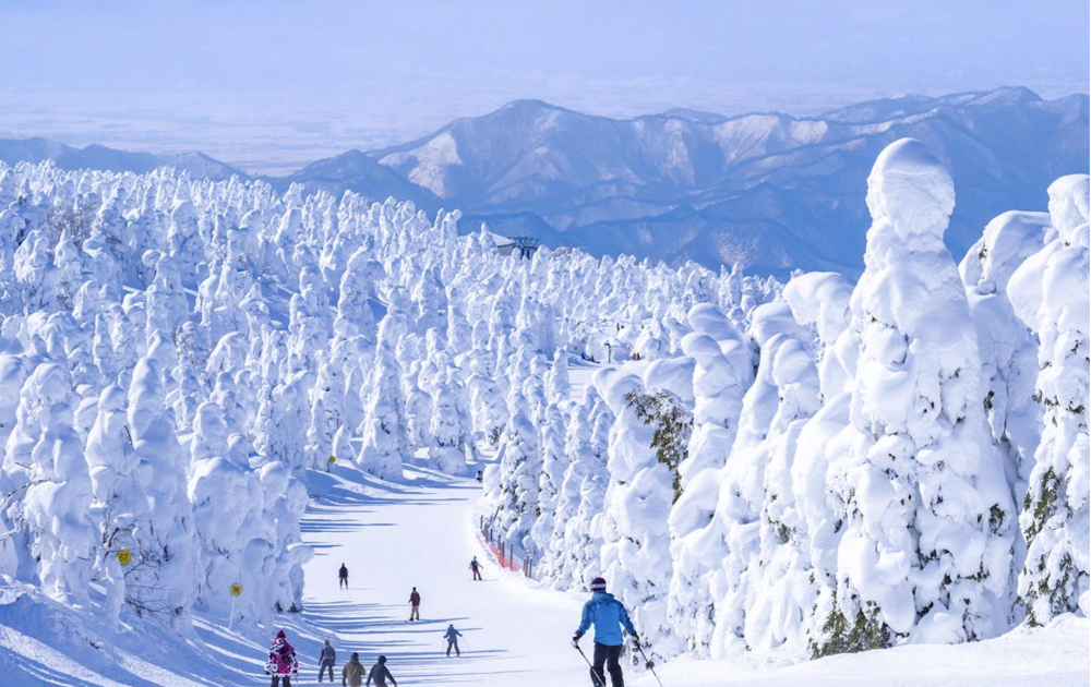 Winter in Japan